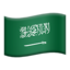 :flag-sa: 🇸🇦