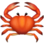 🦀