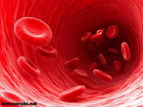 0_1564519507854_red-blood-cells.jpg