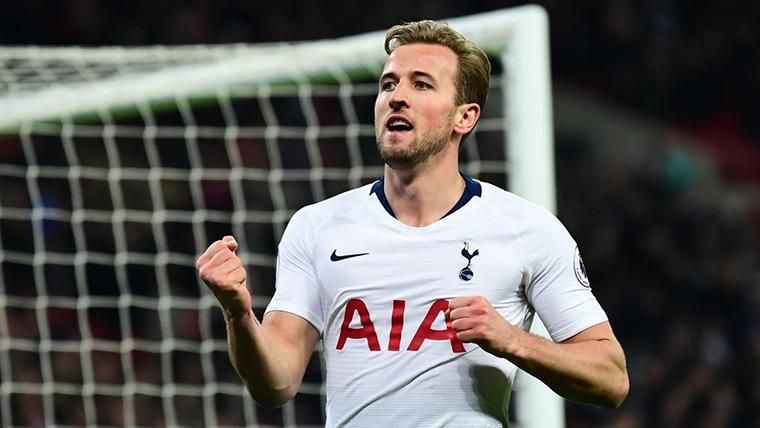 harry-kane-tottenham-276065.jpeg