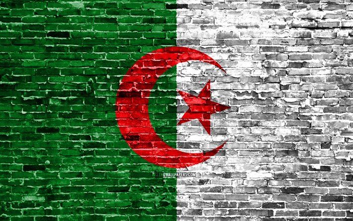 thumb2-4k-algerian-flag-bricks-texture-africa-national-symbols.jpg