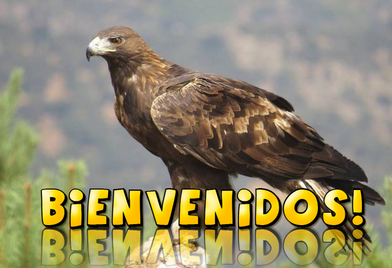 aguila bienvenidos.PNG