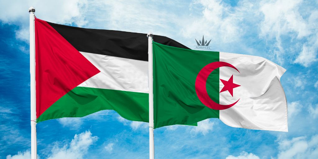 الجزائر فلسطين.jpg