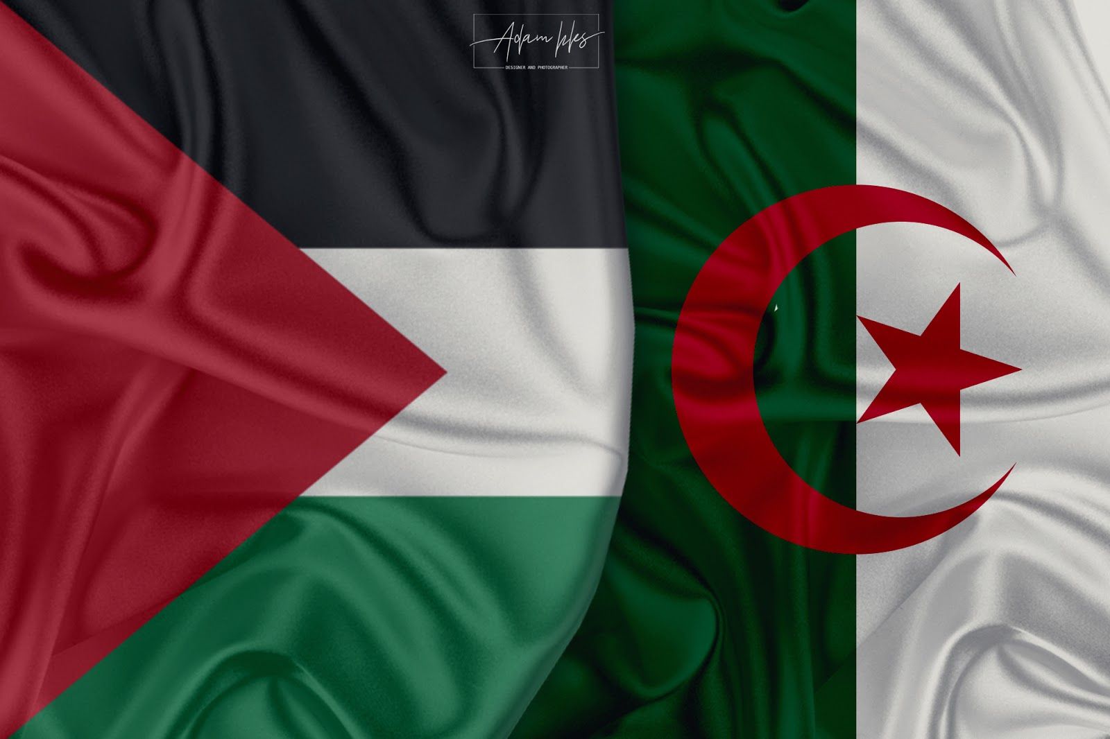 الجزائر وفلسطين.jpg