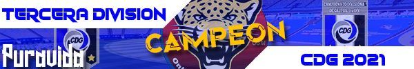 PURAVIDA Campeon Tercera Banner.jpg