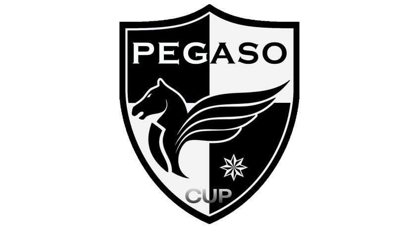 pegaso cup.png
