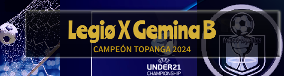 banner-campeon-final.png
