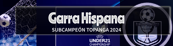 banner-subcampeon.png